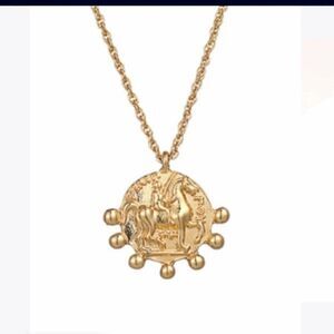 Styled Collection Camelot Coin Pendant necklace